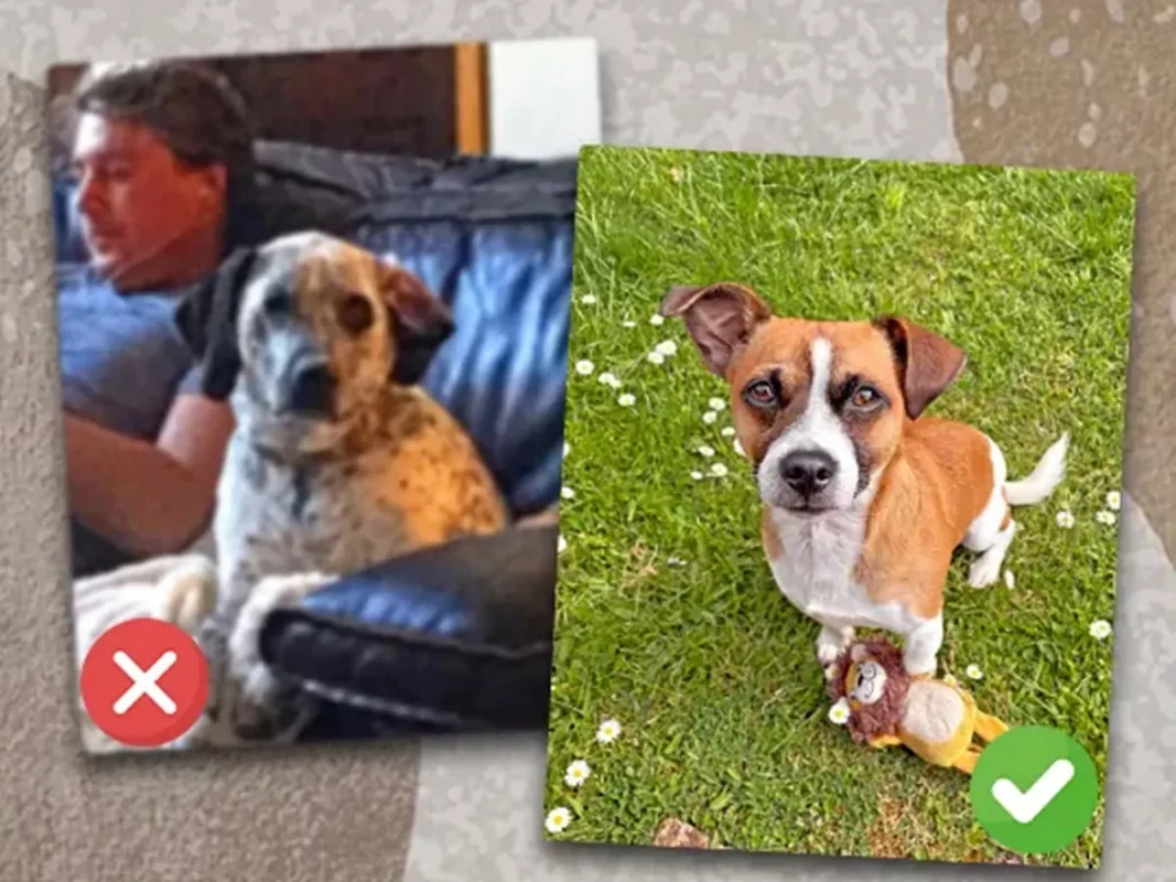 Sharpness-matters-more-than-resolution-1