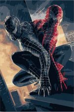 Double Spider Man Paint By Numbers