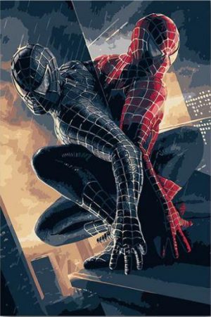 Double Spider Man Paint By Numbers