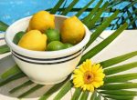 Fresh Lemons Bowl Paint By Numbers