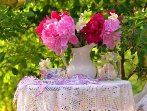 Peonies In Jug Paint By Numbers