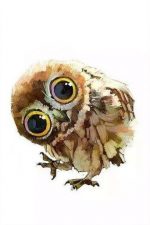 Cute Owl Bird Paint By Numbers