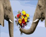 Elephant Holding Flowers Paint By Numbers