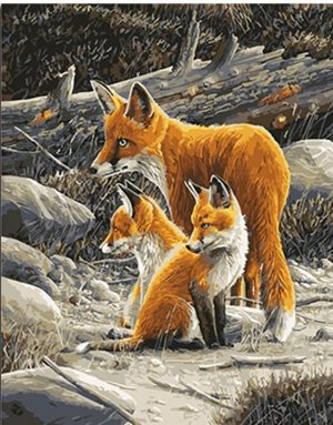 Fox Family Paint By Numbers