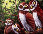 Owl Family Paint By Numbers