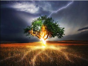 Lightning Tree Paint By Numbers