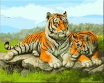 Two Tigers Couple Paint By Numbers
