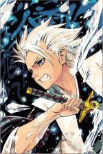 Toshiro Hitsugaya Paint By Numbers