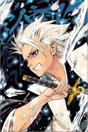 Toshiro Hitsugaya Paint By Numbers
