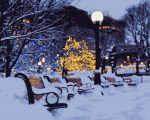 Snowy Benches Paint By Numbers