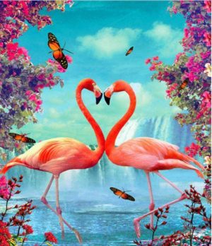 Flamingo Couple Heart Birds Paint By Numbers