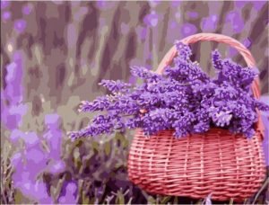 Lavenders Basket Paint By Numbers