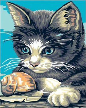 Snail and Cat Animals Paint By Numbers