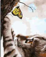 Butterfly And Cat Paint By Numbers