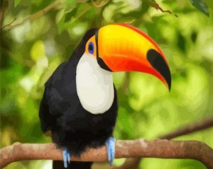 Toucan On Branch Paint By Numbers