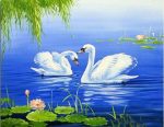 White Swans Paint By Numbers