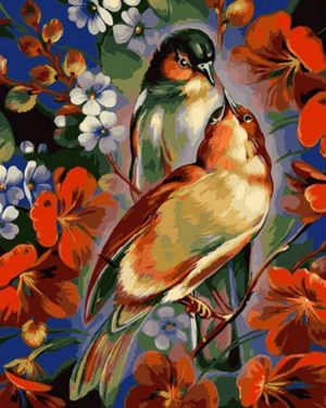 Robin Birds Paint By Numbers