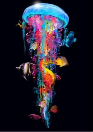 New Jellyfish Big Fish Animals Paint By Numbers
