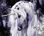 White Unicorn Horse Paint By Numbers