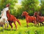 Horses In Forest Paint By Numbers