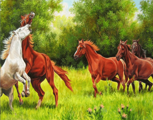 Horses In Forest Paint By Numbers
