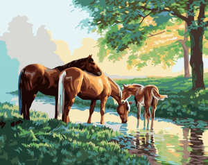 Horse Family Paint By Numbers