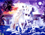 White Couple Horses Paint By Numbers
