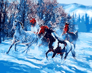 Horses In The Snow Paint By Numbers