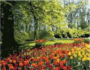 Tulips Garden Paint By Numbers