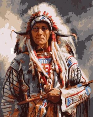 Native American Indian Man Paint By Numbers