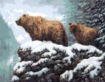 Bear and Cub Paint By Numbers