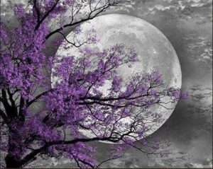 Purple Tree Moon Paint By Numbers