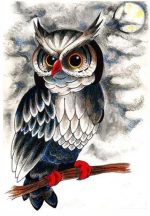 Evil Owl Birds Paint By Numbers
