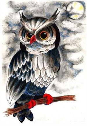 Evil Owl Birds Paint By Numbers
