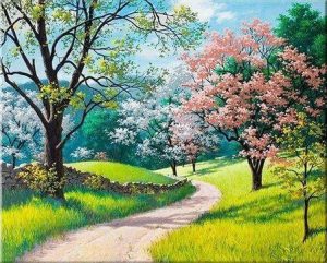 Forest Path Paint By Numbers