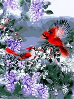 Two Cardinal Birds Paint By Numbers