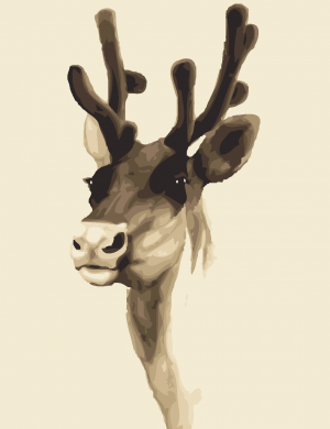Elk Moose Head Paint By Numbers