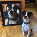 Paint by numbers upload photo