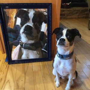 Paint by numbers upload photo