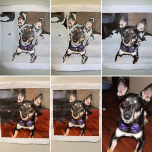 Paint by numbers with your own photo