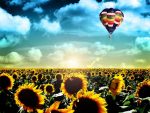 Sunflowers Field And Air Balloons Paint By Numbers