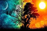 Day And Night Tree Paint By Numbers