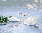Swan Family Paint By Numbers