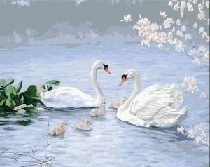 Swan Family Paint By Numbers