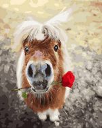 Shetland Pony And Rose Paint By Numbers