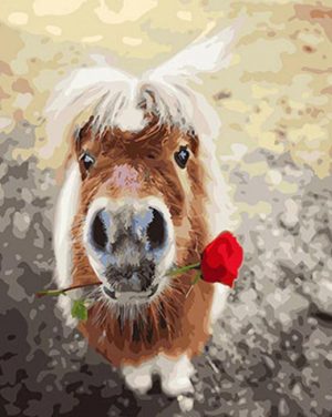 Shetland Pony And Rose Paint By Numbers