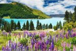Lake Tekapo Paint By Numbers