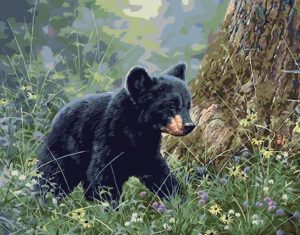 Baby Bear Paint By Numbers