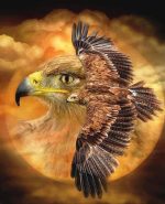 Spirit Of The Wind Birds Paint By Numbers