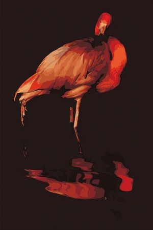 Black Flamingo Birds Paint By Numbers